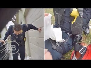 Read more about the article BODYCAM: Michigan Cop Accidentally SHOOTS Fellow Officer