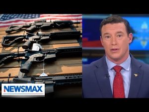 Read more about the article Gun owners are not the problem: Carl Higbie | The Chris Salcedo