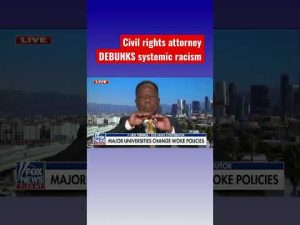 Read more about the article Civil rights attorney Leo Terrell: There is no systemic racism! #shorts