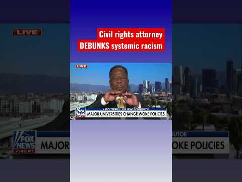 You are currently viewing Civil rights attorney Leo Terrell: There is no systemic racism! #shorts