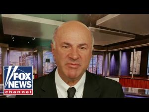Read more about the article Kevin O’Leary: Janet Yellen is facing a moral crisis
