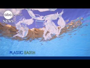 Read more about the article Rob Riggle on plastic waste: ‘There are so many solutions out there’ | ABCNL