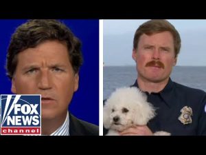 Read more about the article Tucker: Heroic lifeguard saves dog from drowning