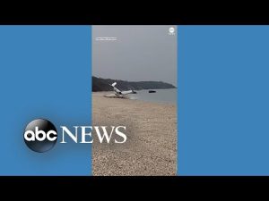 Read more about the article Small plane makes emergency landing on New York beach