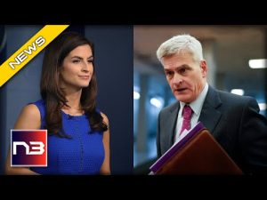 Read more about the article Watch: CNN Reporter BLASTED To Her Face By Top Gop Senator on Social Security