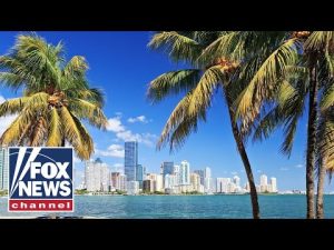 Read more about the article Spring break chaos unfolds in Florida