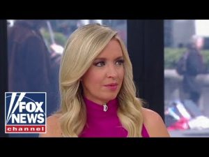 Read more about the article McEnany: This is a stunning level of lawlessness