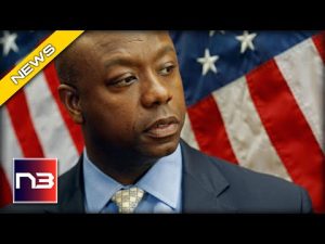 Read more about the article Senator Tim Scott Exposes The Left’s Agenda Of Victimhood And Despair