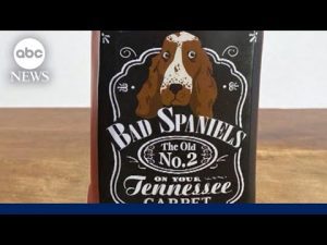 Read more about the article Jack Daniels vs. dog toy