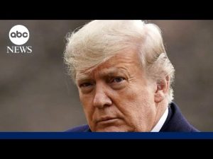Read more about the article The cases against Trump