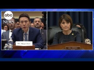 Read more about the article TikTok CEO heavily criticized by House committee over data and privacy concerns