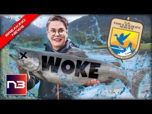 Read more about the article YES! Hageman Tears Into ‘Eco-Grief’ Training As Ridiculous ‘Woke Workshop’ Uncovered