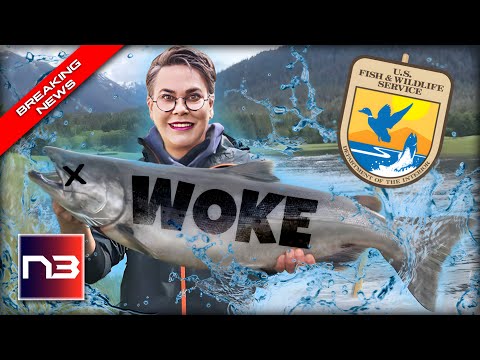 You are currently viewing YES! Hageman Tears Into ‘Eco-Grief’ Training As Ridiculous ‘Woke Workshop’ Uncovered
