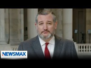 Read more about the article Ted Cruz: Democrats are scared out of their mind