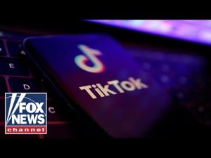 Read more about the article Capitol Hill takes on TikTok | Fox News Rundown