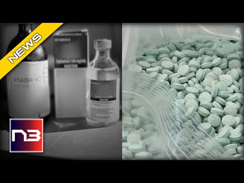 You are currently viewing Frightening DEA Alert: Animal Sedatives Mixed with Fentanyl in 48 US States!