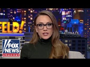 Read more about the article Kat Timpf: I am shocked by this absolute boldness