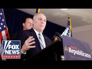 Read more about the article Live: House Majority Leader Steve Scalise speaks to press on lowering energy costs