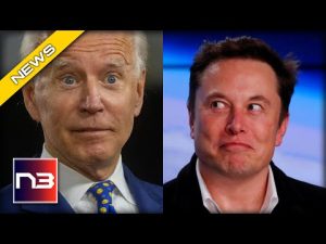 Read more about the article “Umm, Banks are Melting”: Elon Musk Exposes Biden’s Misplaced Priorities