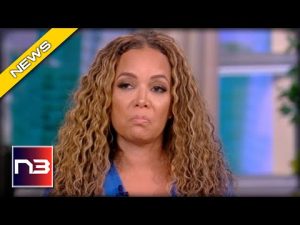 Read more about the article Hostin’s Book Burning Brigade: Wealthy Privilege Doesn’t Stop Her from Pushing Marxist Agenda