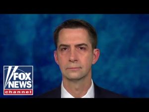Read more about the article ‘I don’t believe you’: Sen. Tom Cotton confronts Biden official