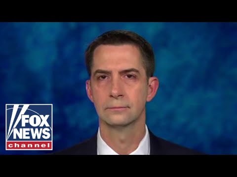 You are currently viewing ‘I don’t believe you’: Sen. Tom Cotton confronts Biden official
