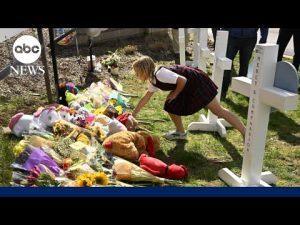 Read more about the article New details revealed in Nashville shooting