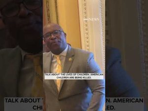 Read more about the article Congressmen battle over gun violence outside House chamber | ABC News