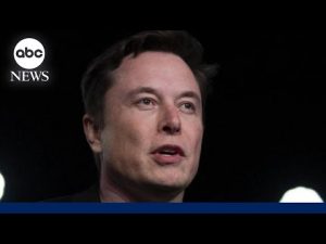 Read more about the article Elon Musk calls for artificial intelligence pause