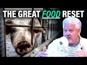 Read more about the article This TERRIFYING plan could RESET FOOD throughout the WORLD