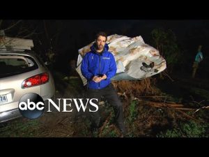 Read more about the article Severe storm slams South