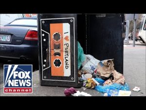 Read more about the article Why is public safety collapsing in Portland?