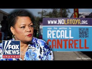 Read more about the article ‘You didn’t do your job’: Inside the effort to recall New Orleans’ mayor