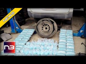 Read more about the article Heroic $3 Million Drug War Bust: Why 1 Vehicle Had So Much Fentanyl