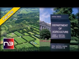 Read more about the article Internal Memo Reveals US Gov’t Negligence Over Farmland Security – How The USDA Failed Us