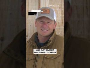 Read more about the article Snowmobiler jumps out of the way of charging moose | ABC News