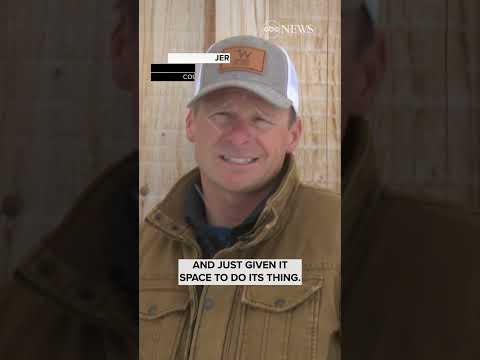 You are currently viewing Snowmobiler jumps out of the way of charging moose | ABC News