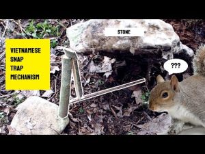 Read more about the article Squirrels don’t like this trap!