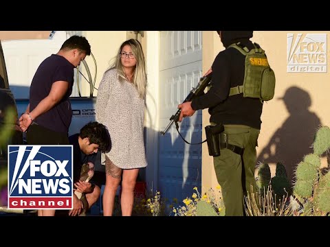 You are currently viewing The illegal pot grows taking over the largest county in the nation