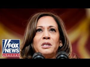 Read more about the article VP Harris’ ‘cringy’ childhood story raises eyebrows