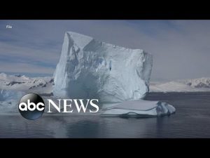 Read more about the article Antarctic sea ice reaches record low