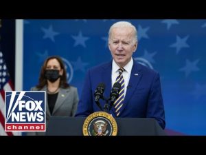Read more about the article This is why no one wants to replace Biden with VP Harris: Failla