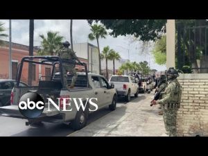 Read more about the article 2 kidnapped Americans return to US from Mexico, 2 others found dead