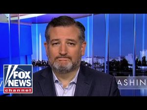 Read more about the article Ted Cruz: Biden border policies enriching murderous cartels