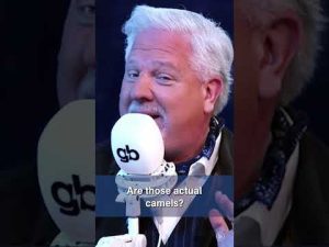 Read more about the article An asteroid is heading for earth and…camels? | #shorts