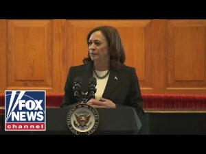 Read more about the article Kamala Harris blasted for ignoring Nashville victims’ families during recent trip