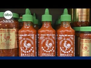 Read more about the article Sriracha enters national shortage list due to lack of jalapeno peppers