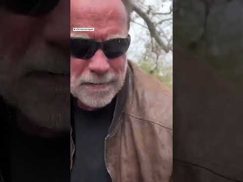 You are currently viewing Arnold Schwarzenegger fills giant pothole in his Los Angeles neighborhood | ABC News