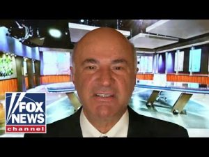 Read more about the article Kevin O’Leary blows up the electric car ‘fantasy’