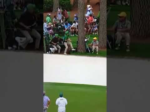 You are currently viewing Falling Tree Almost Hits Spectators at The Masters